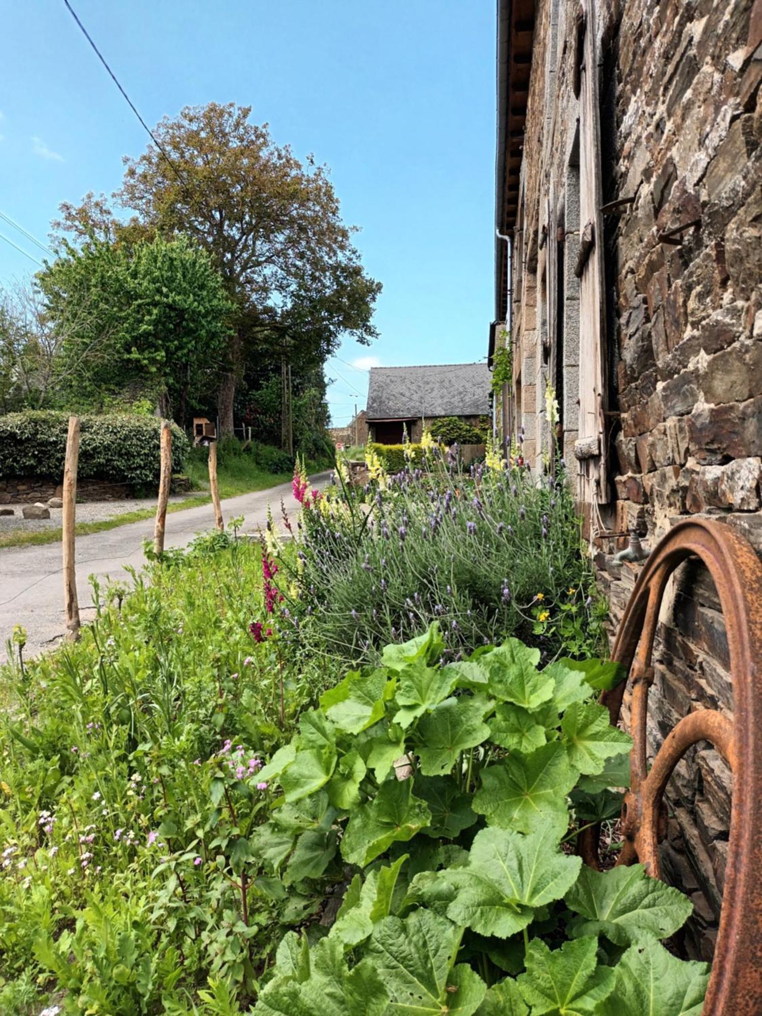 Agritourisme Abae Bed & Breakfast Sougéal Exterior foto